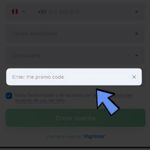 Introduzca el código promocional.